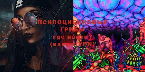 героин Алексин